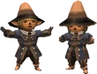 Tarutaru BLM (FFXI)