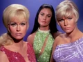 Mudd's women.jpg