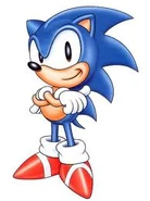 Sonic the hedgehog