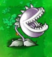 Chomper