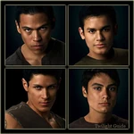 Wolf-pack-members