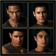 Wolf-pack-members