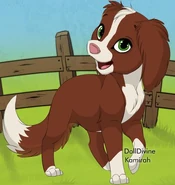 Hika puppy