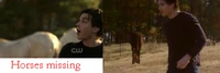 Error2x12horses