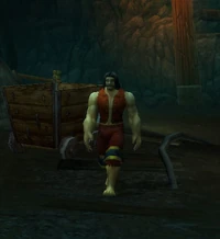 HomelessStormwindCitizen