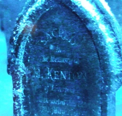 MKenton
