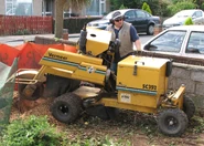 Stump grinder in england arp