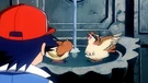 P05 Pidgey