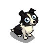 Black Collie-icon.png