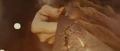 Crackingwand.JPG