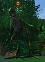 Devil Root
