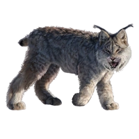 Huge item canadianlynx 01.png