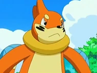 EP503 Buizel enojado