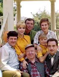 Mayberry RFD Cast