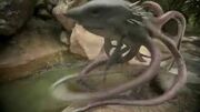 Sharktopus