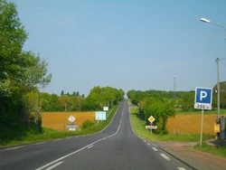 N147 (19)