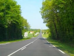 N147 (20)