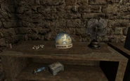 Mormon snowglobe