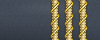 sleeve insignia.