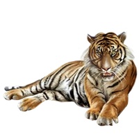 Huge item sumatrantiger 01.png