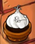 Garlic123.jpg (4 KB)
