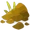 Humus