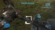 Reach 7395167 Medium