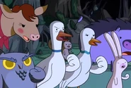 Mr. goose