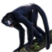 Item spidermonkey 01