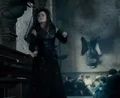 Bellatrix battleoh1.png