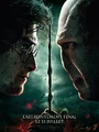 Affichefilm HP7-2.jpg