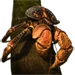 Coconut Crab