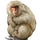 Item snowmonkey 01.png