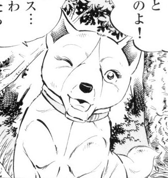 Koyuki - Weedin puoliso Koyuki896986