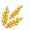 Wheat Grain