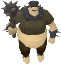 Ogre city guard