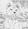 Yamabuki001