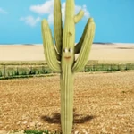 AO Cactus
