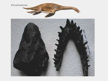 Vinialesaurus