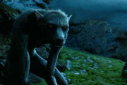 Harrypotter weerwolf a