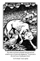 The Outcast Eyecatcher