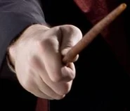 Frank's Wand