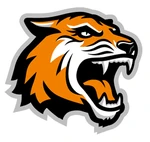 Rochester Tech Tigers.jpg