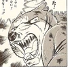 Riki 1