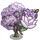 Purple Magnolia-icon