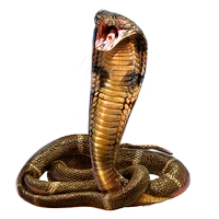 Huge item kingcobra 01.png