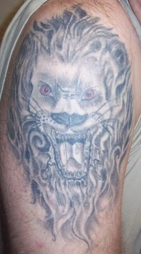 LionTat