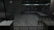 MaxPayne 2011-05-06 21-20-04-59