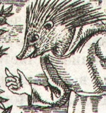 Furlo Stump.jpg