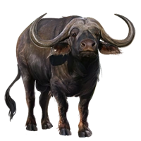 Huge item capebuffalo 01.png